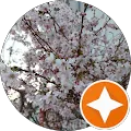 Blühende Kirschblüten in sanftem Licht